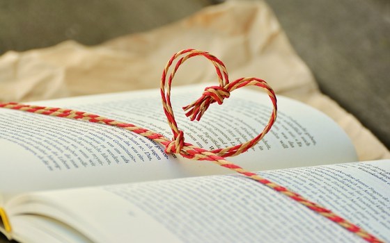 Nouvelles acquisitions de la bibliothèque - Juillet-août 2026