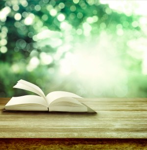 Nouvelles acquisitions de la bibliothèque - Mars 2026